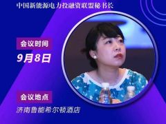 2020戶用大會(huì)丨彭澎 中國新能源電力投融資聯(lián)盟秘書長