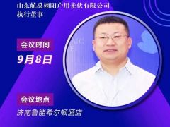 2020戶(hù)用大會(huì)丨丁文磊 航禹栩陽(yáng)戶(hù)用光伏執(zhí)行董事