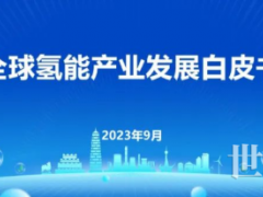 228個(gè)大型氫能項(xiàng)目已宣！全球氫能產(chǎn)業(yè)發(fā)展白皮書發(fā)布