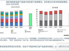 IEA：全球氫能需求今年將達(dá)1億噸！中國(guó)電解槽產(chǎn)能占八成！