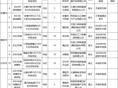 1.24GW！三峽、大唐、國電投等風(fēng)光項(xiàng)目被廢止