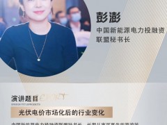 嘉賓| 中國新能源電力投融資聯(lián)盟秘書長彭澎出席2025中國戶用和工商業(yè)光儲(chǔ)充大會(huì)并演講