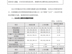 凈賺4億！2024光伏行業(yè)首份業(yè)績(jī)快報(bào)出爐