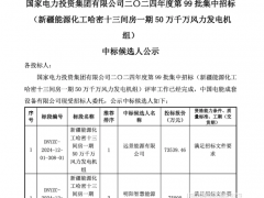 國電投500MW風(fēng)電項目中標候選人公示：遠景、明陽入選