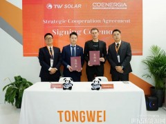 200MW！通威與意大利最大分銷(xiāo)商Coenergia達(dá)成合作